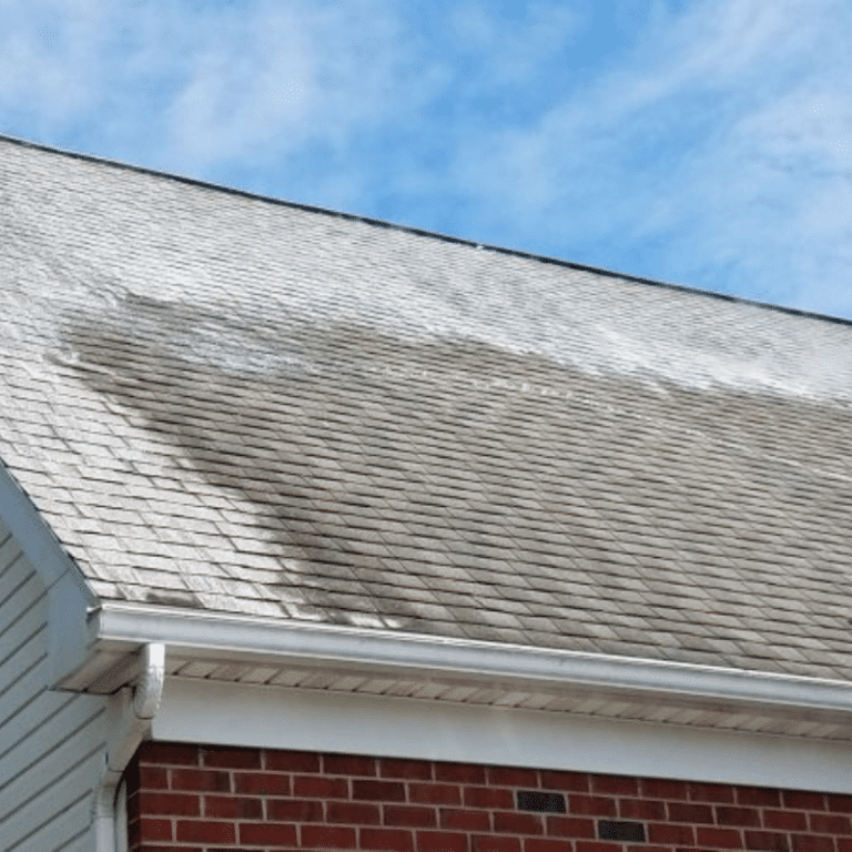 Roof Cleaning in Plano, TX